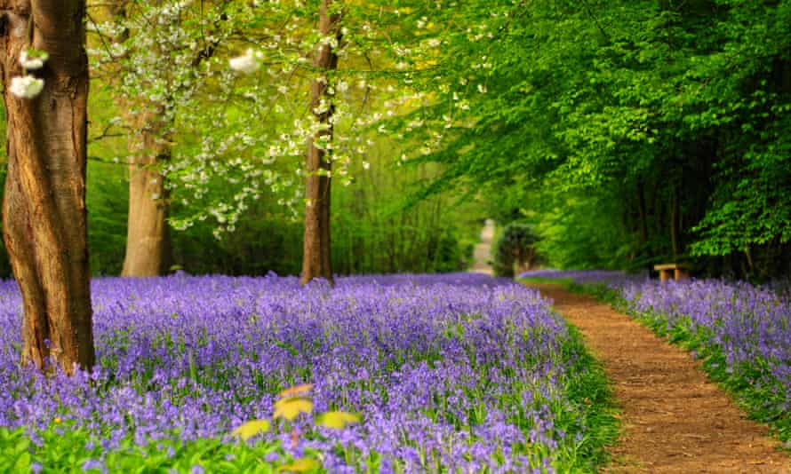 Jardins du parc Hall, Kent