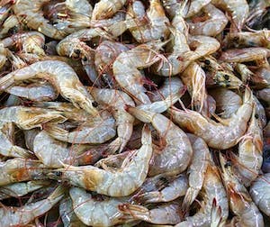 tas de crevettes