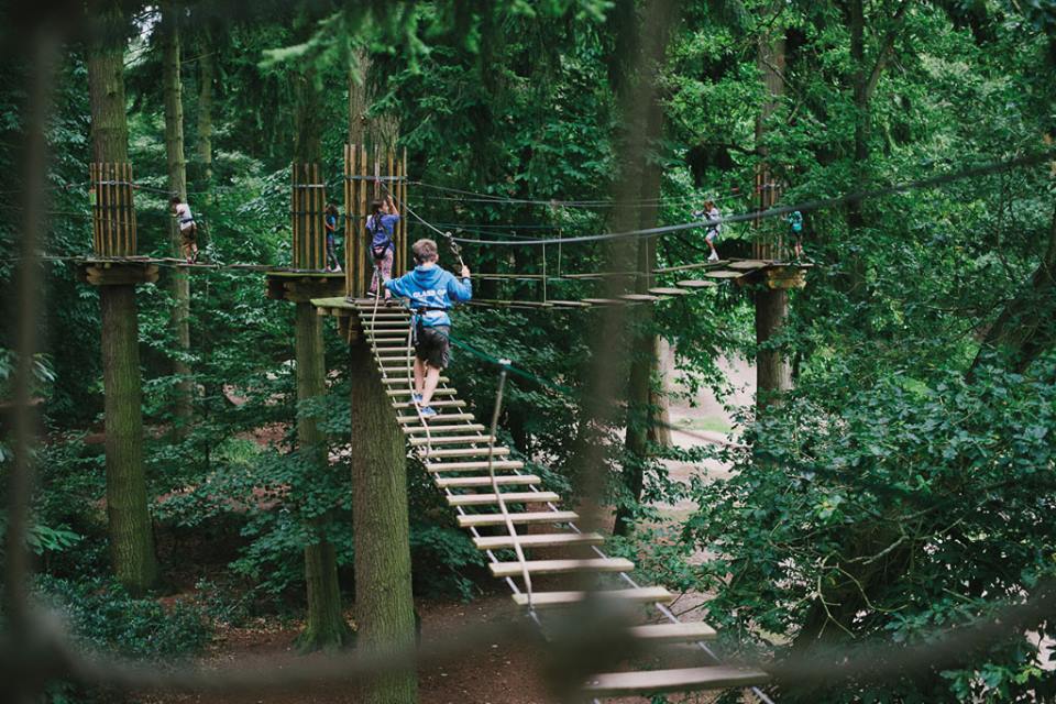 Devenir fou! Expérience en Segway - Norfolk