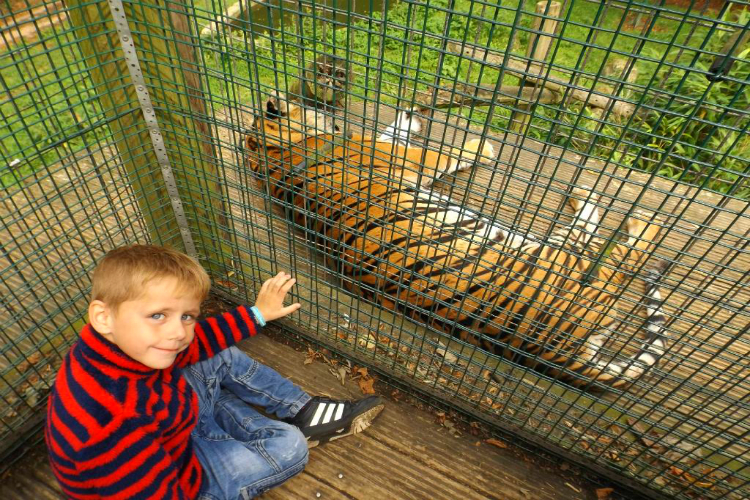 Jardins fauniques de Thrigby Hall - Norfolk