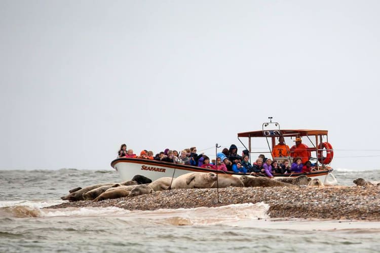 Frijoles Excursiones en barco - Norfolk