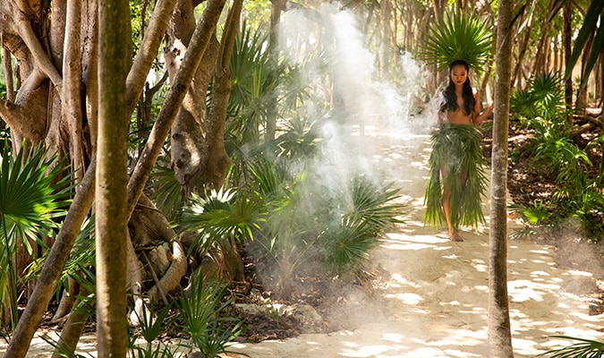 Inside Palmaïa, Maison AïA, expérience
