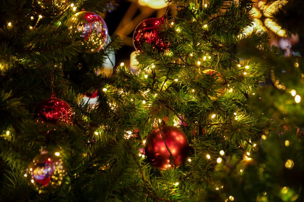 arbre de Noël