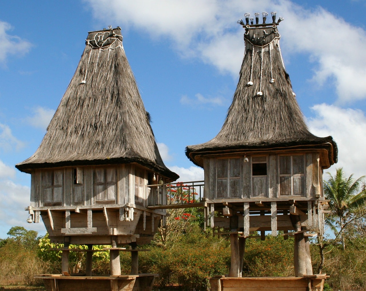 7 choses que vous allez adorer au Timor Leste
