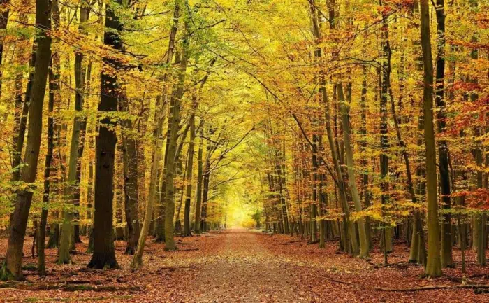 Estrémadure - Vallée de l'Ambroz - escapade d'automne en Espagne