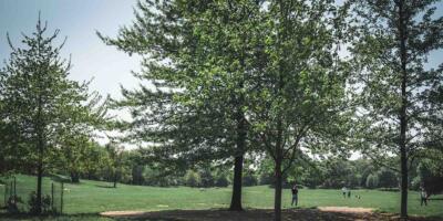 Prospect_Park_Park_Slope_Brooklyn_180516102946012