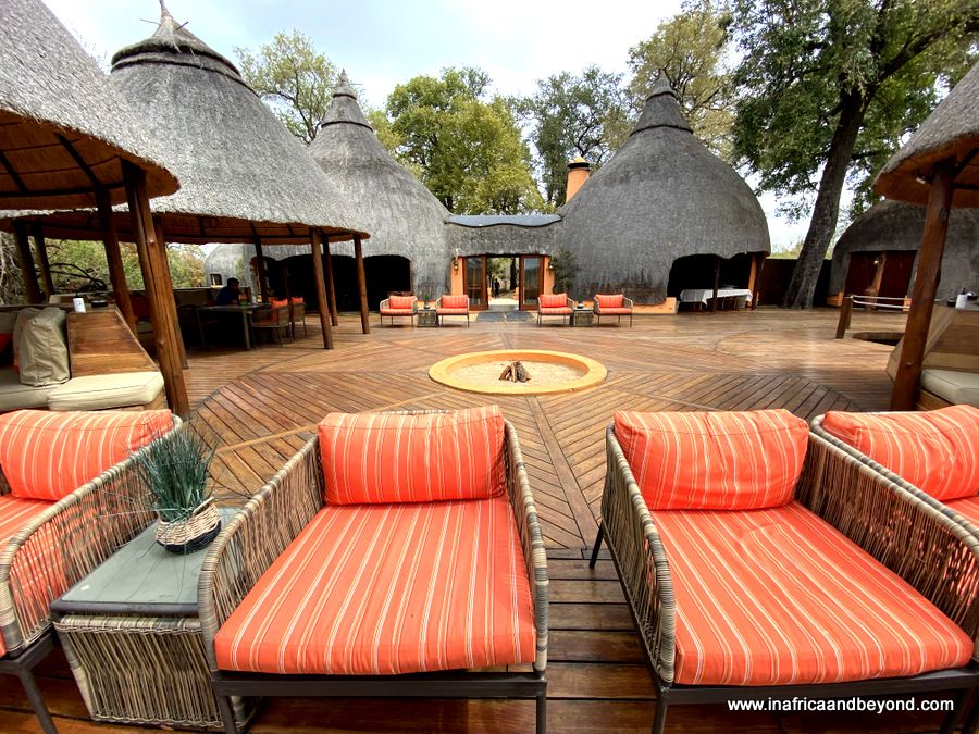 Bienvenue au Hoyo Hoyo Safari Lodge – En Afrique et au-delà