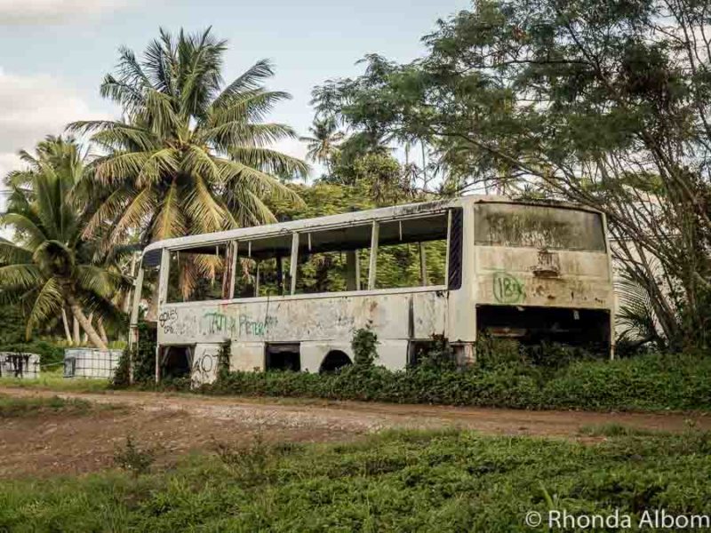Chèvres sur l'herbe d'un hôtel abandonné sur Cook Island