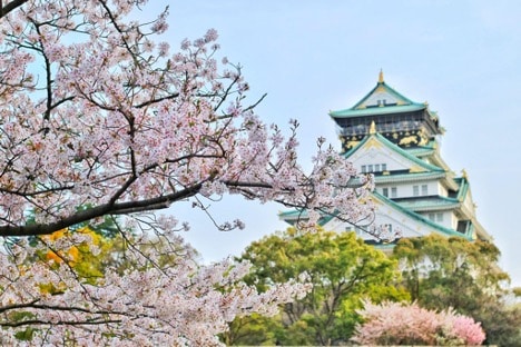 Planifiez votre prochain voyage au Japon avec des forfaits de voyage personnalisés
