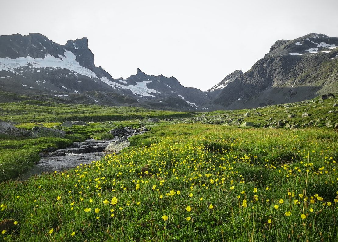 La Norvège en mars : un guide pratique pour planifier des vacances idéales !