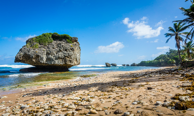 Les meilleures plages de la Barbade Playa Besabé
