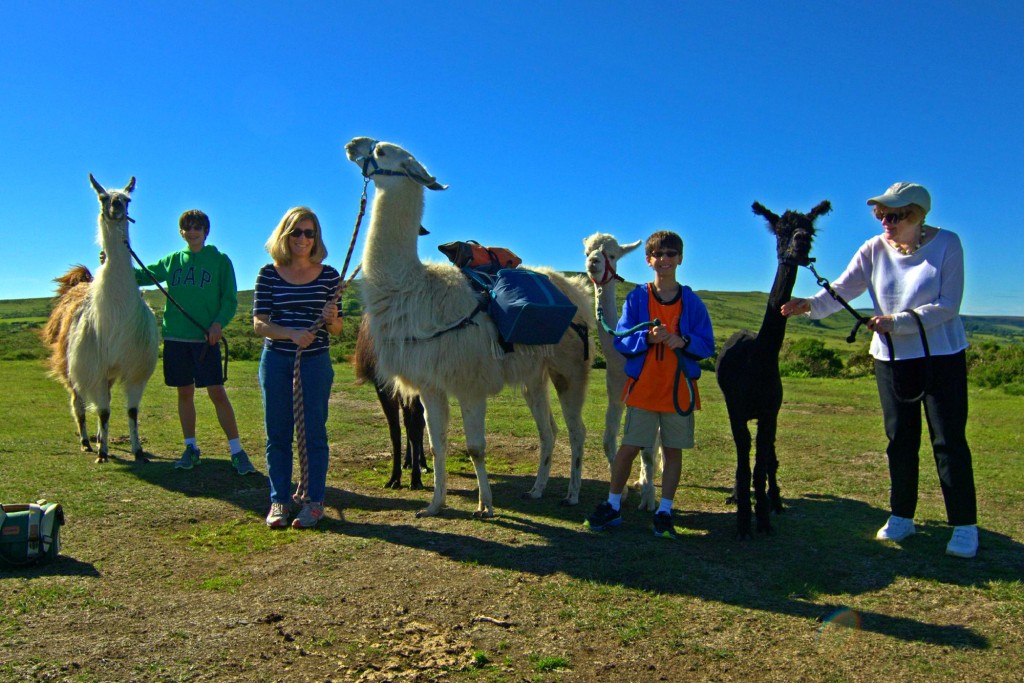 Excursions de Devon uniques