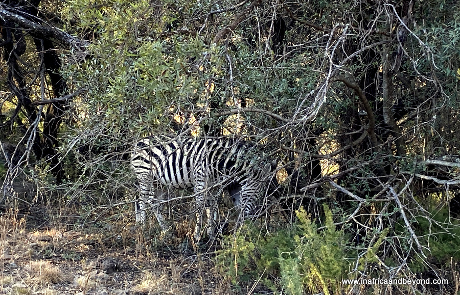 Route de randonnée Hennops