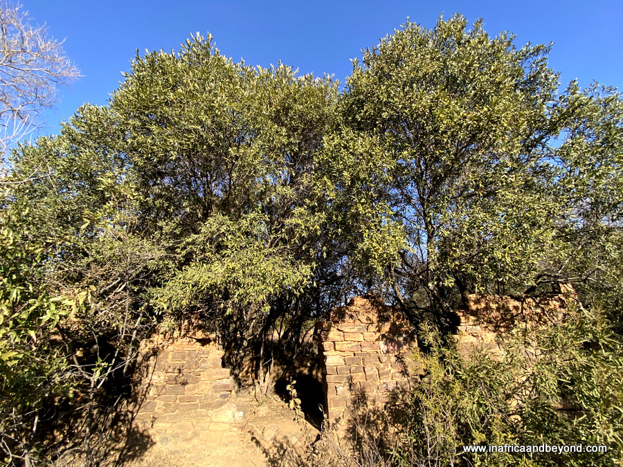 Route de randonnée Hennops