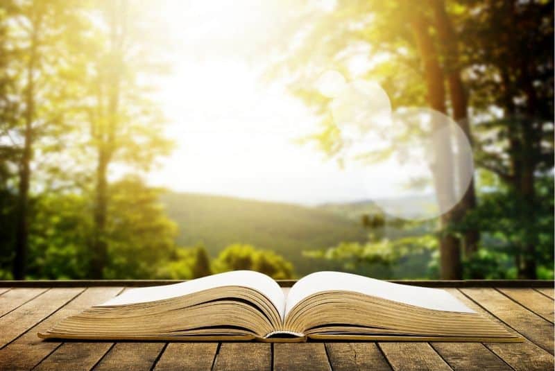 11 livres essentiels pour les amateurs de safaris