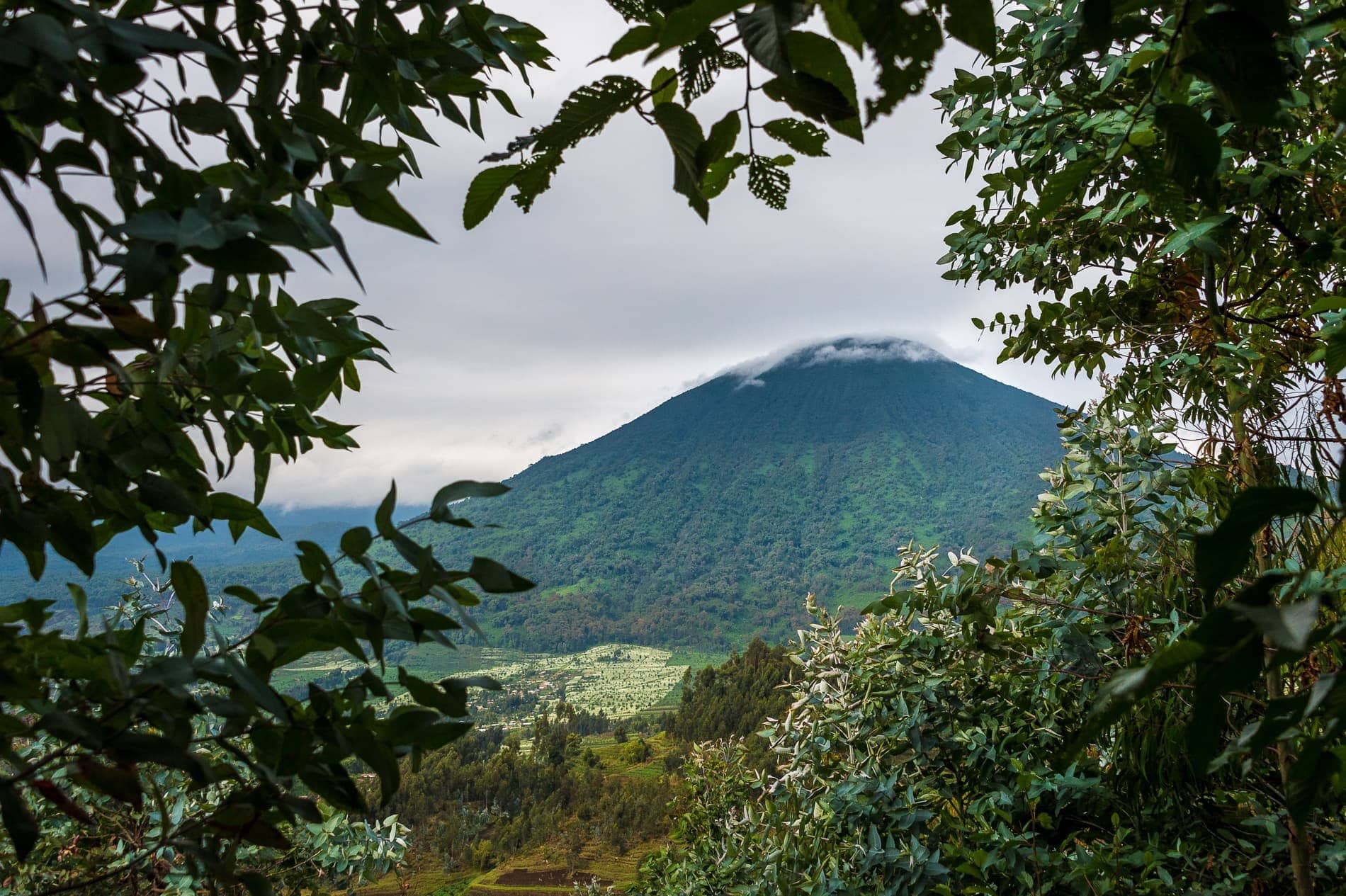 Bisate-Lodge-Vistas-Volcanes-Parque-national-01 Parc national incroyable des volcans au Rwanda