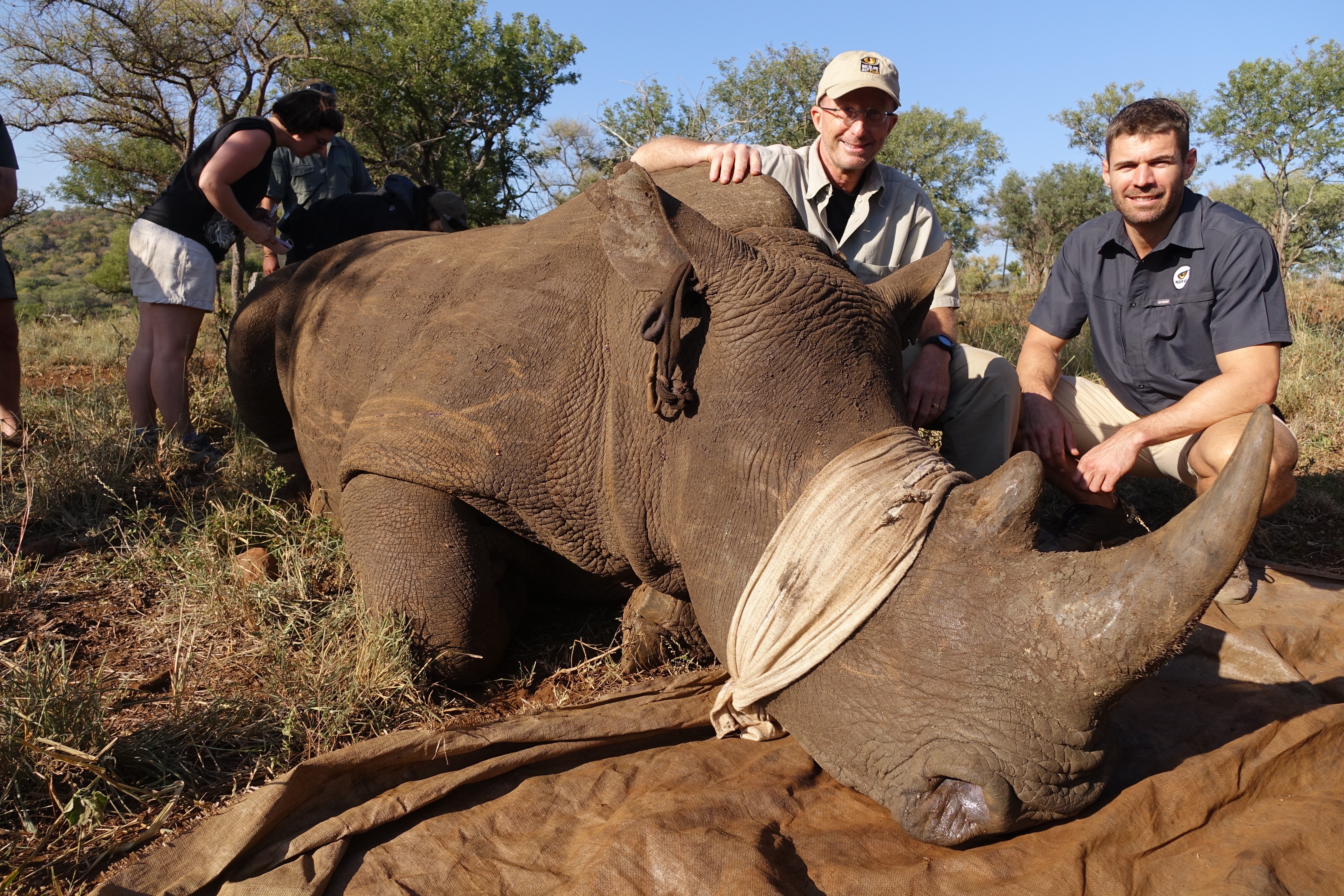 Jo Maree de Wildlife Act à Zululand participe à un projet malheureux.