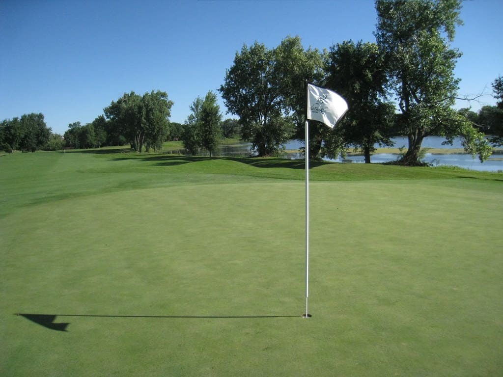 Champ de course de cerf blancs