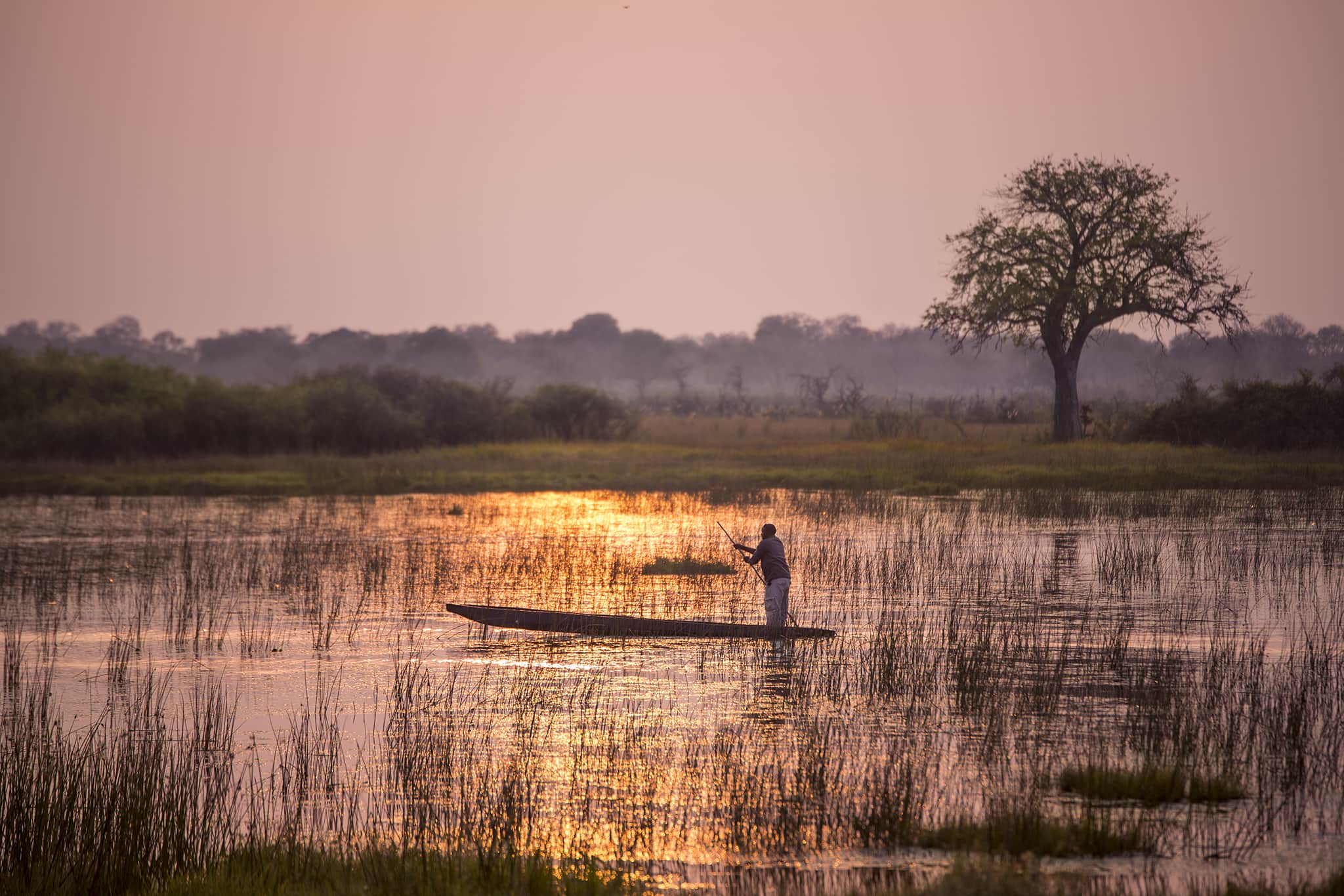 Mokoro-ride-okavango-delta-botsuana L'Afrique se rend au delta d'Okavango au Botswana en mai