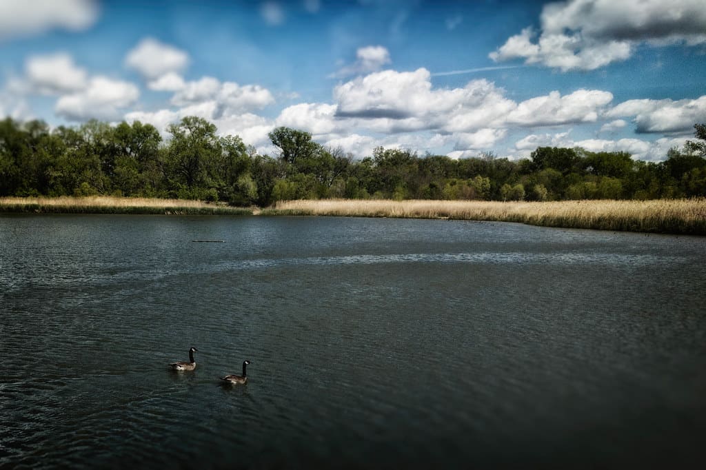 Lac