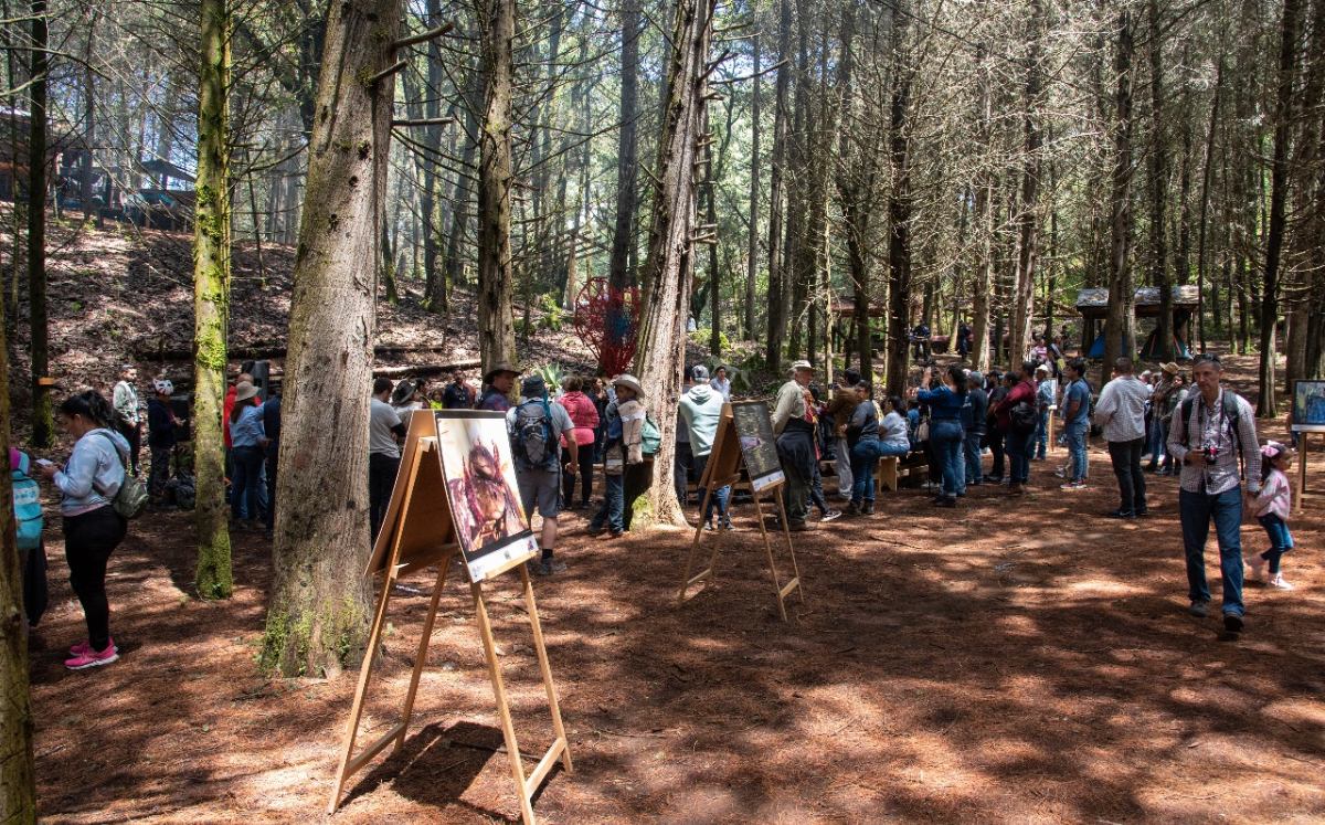 Colima vous invite à des salons de champignons pour vivre la nature et la gastronomie