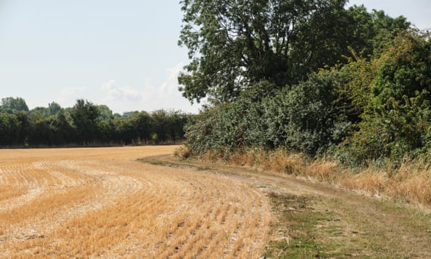 Campos arados y setos