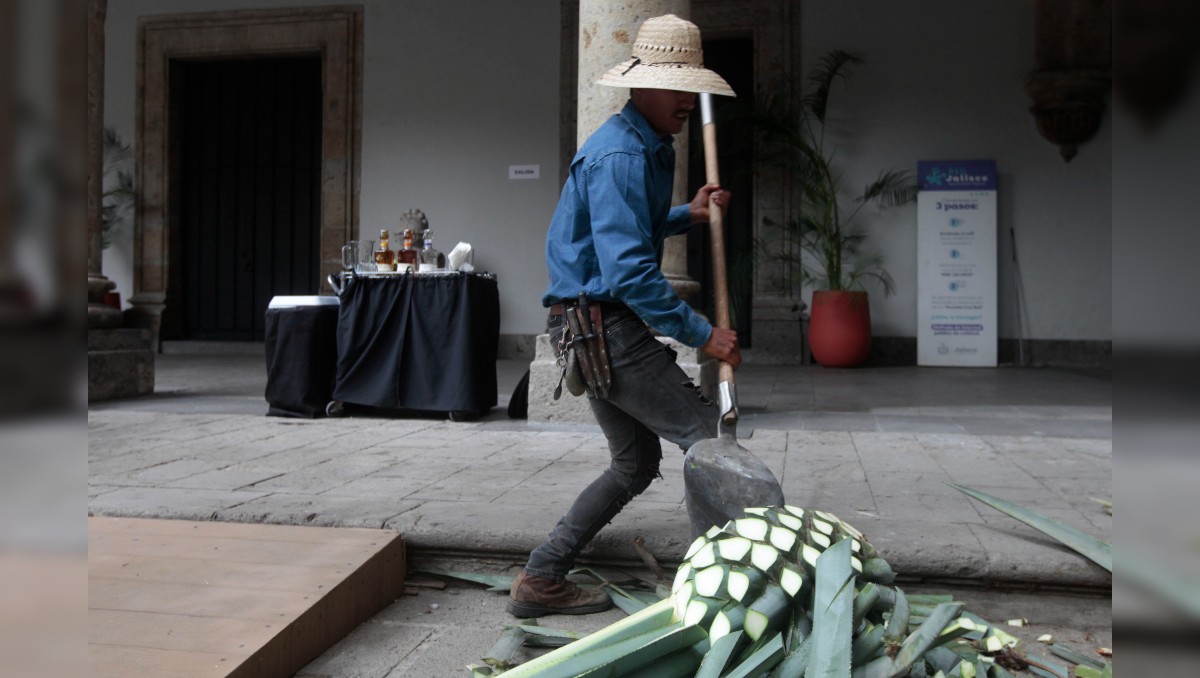 Tequila fait son chemin dans le monde