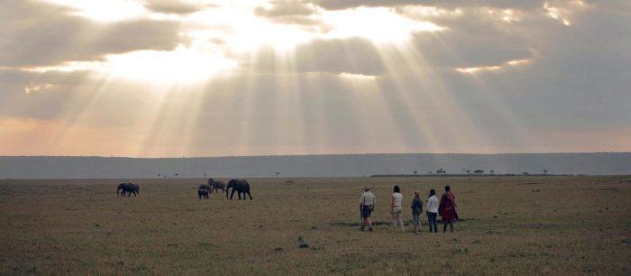 Bush Walk au camp d'éléphant