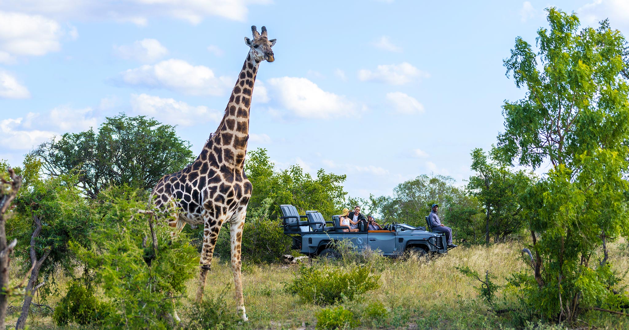 Silvan-safari-activities-game-drive-wildlife-girafe_d6a1327 World Travel Awards 2022: Les expériences d'un autre monde vous attendent en Afrique