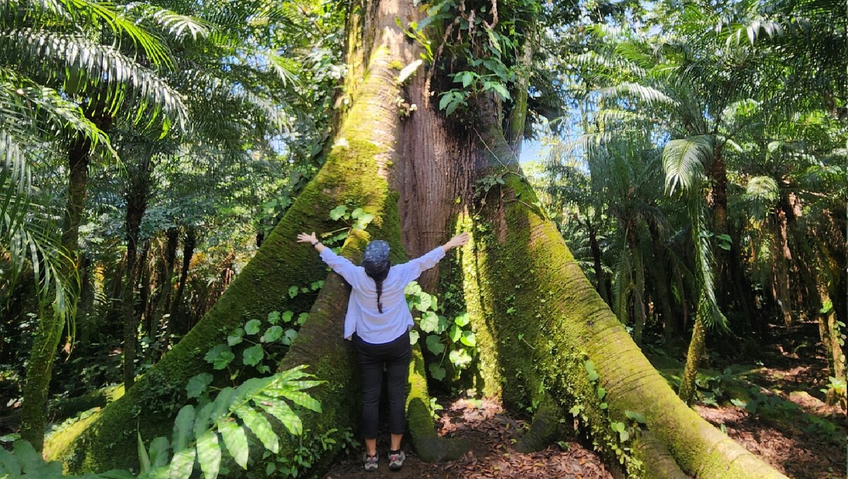 Découvrez vos oiseaux exotiques et vos jardins tropicaux