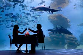 Aquarium de Palma