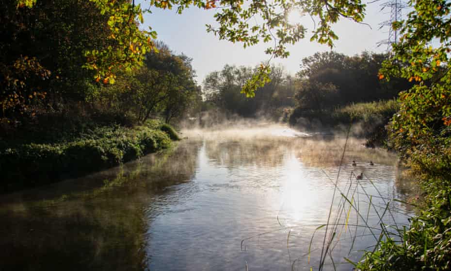 Fog au début de la rivière Wandle, Londres.