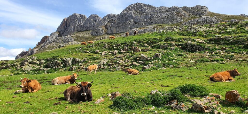 Excursion à la réserve de biosphère de Babia