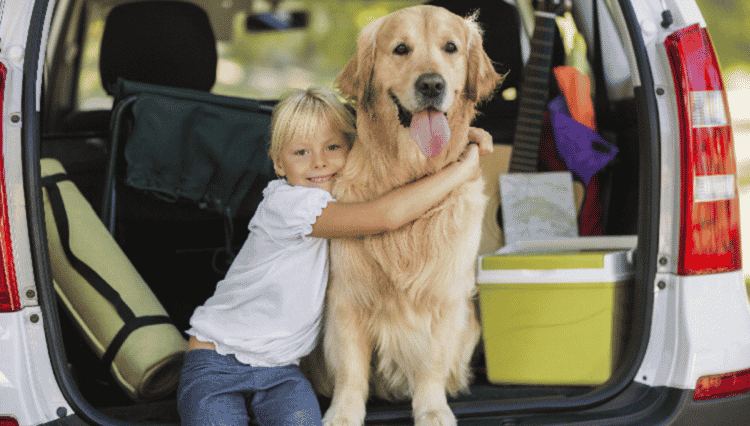 ¡Zarpar!  Rutas de ferry a Francia y España