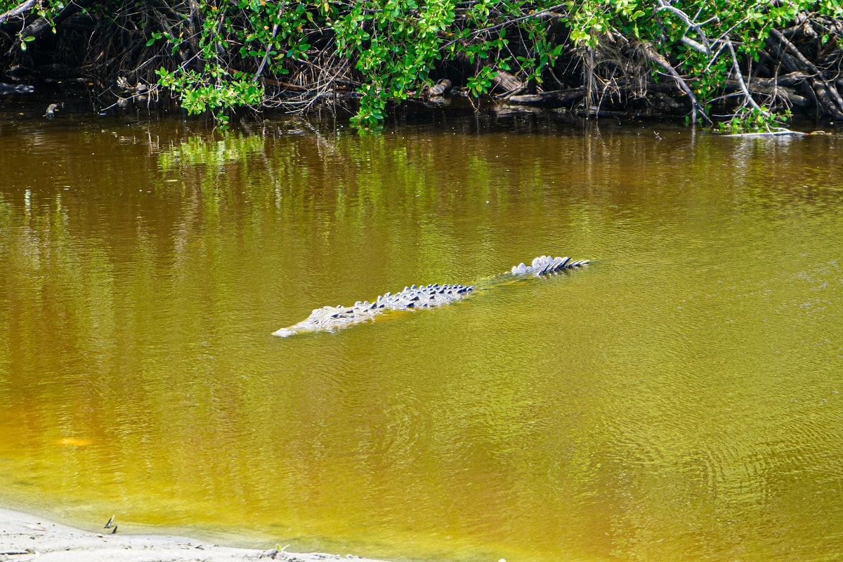 Lieux extraordinaires à Oaxaca : écotourisme, culture, nature et activités inoubliables