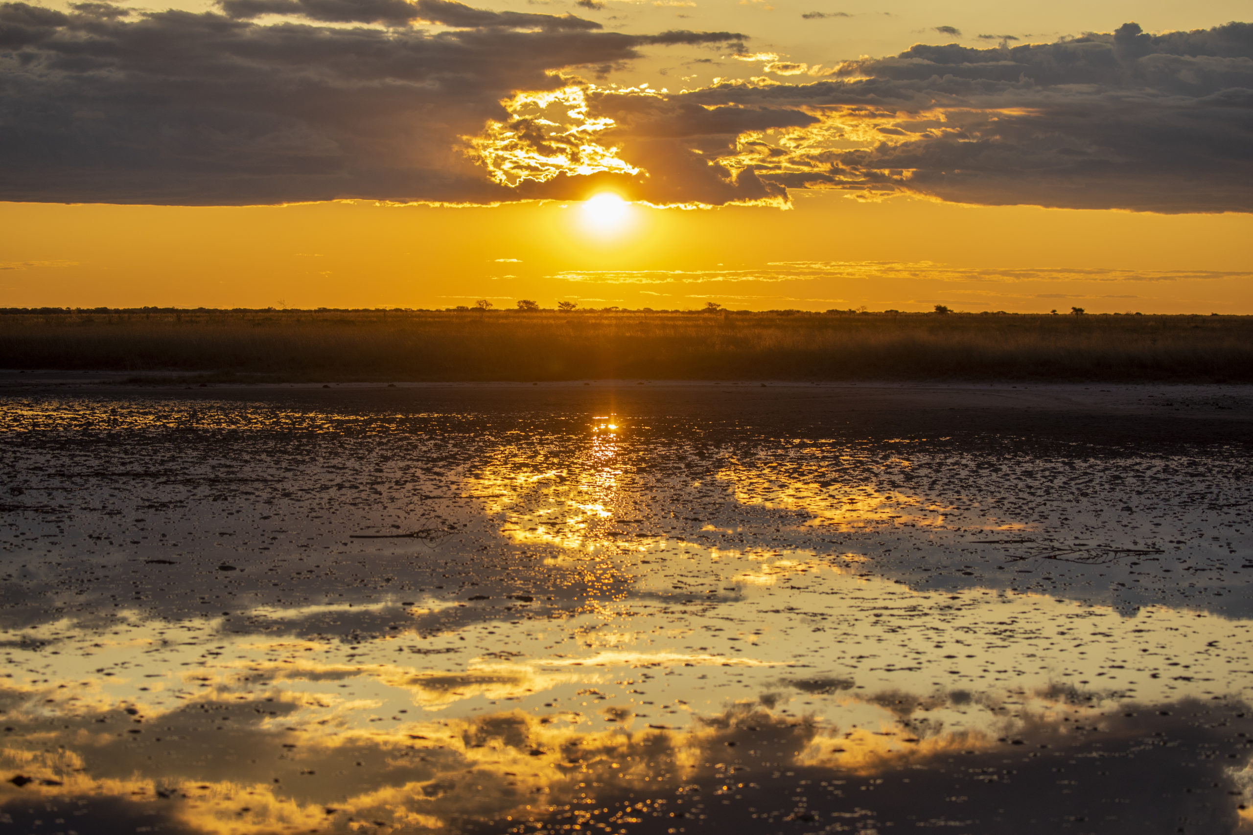 Coucher du soleil sur le sanctuaire d'oiseaux de Nata Makati Kadi Pans Botswana