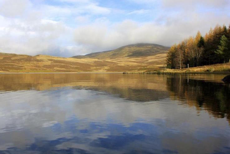 chalets-chien-friendly-es