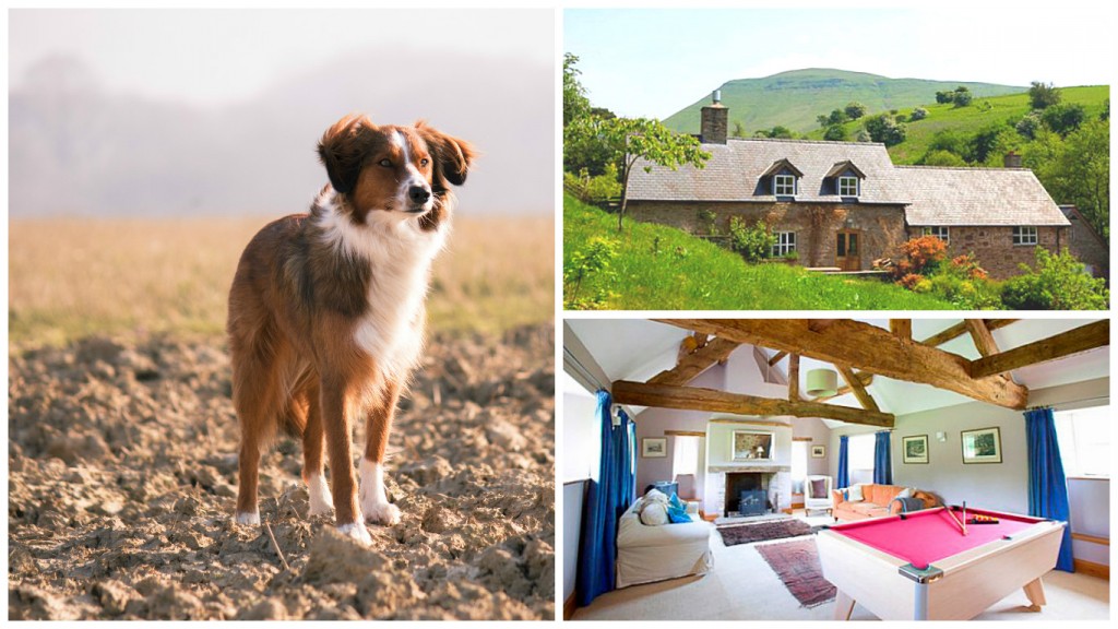 Valley Cottage - Vacaciones con mascotas - Gales