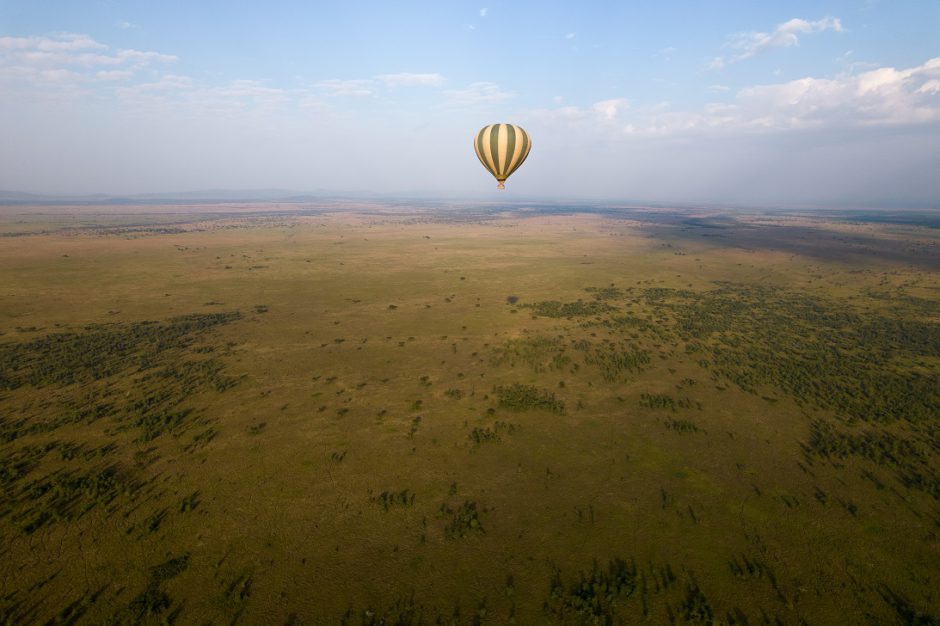 Vue aérienne des plaines du Serengeti