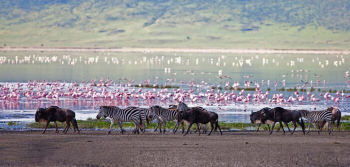 Quelle est la meilleure période pour visiter la Tanzanie ?