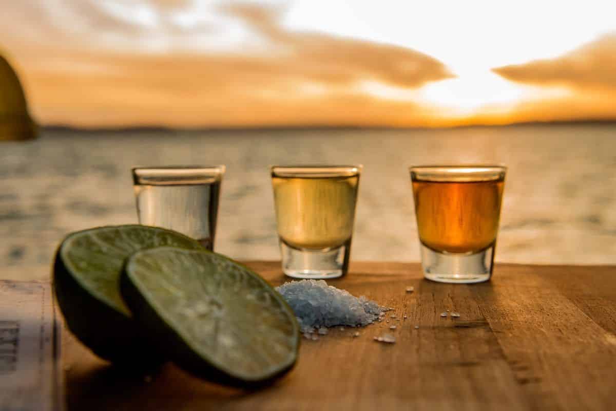 La différence entre la tequila, le mezcal et le pulque