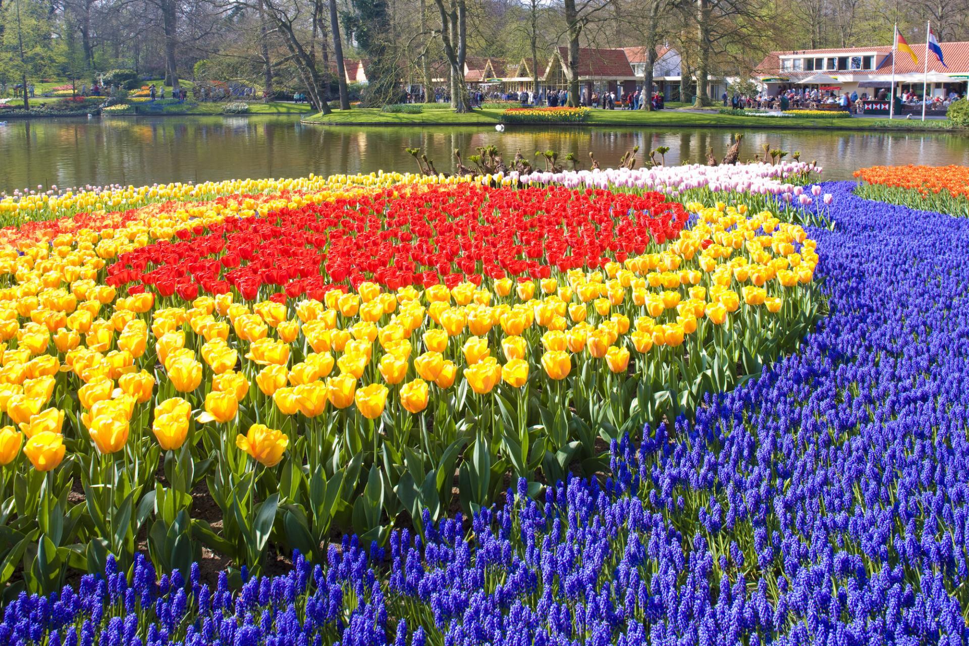 Jardins de Keukenhof, Lisse, Pays-Bas