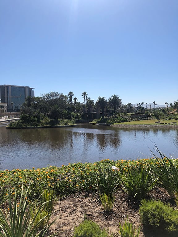 Ratanga-park-a - Cape Town Tourism