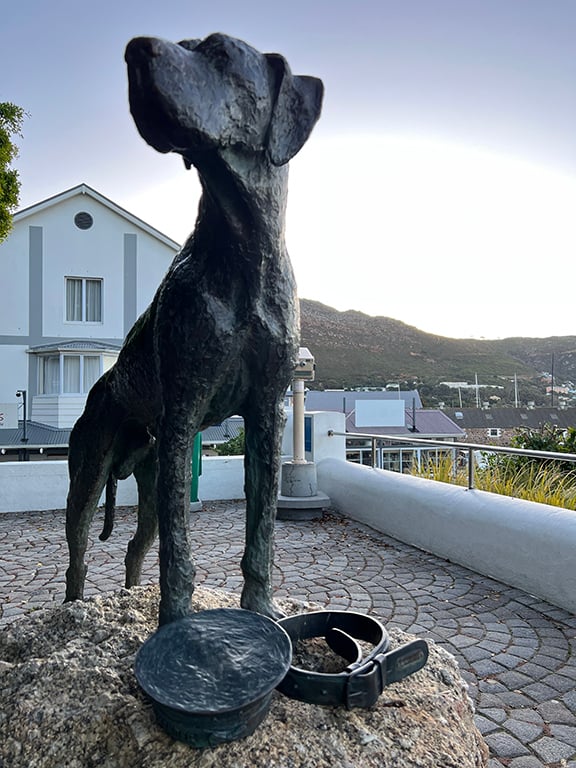 Just Nuisance - Cape Town Tourism