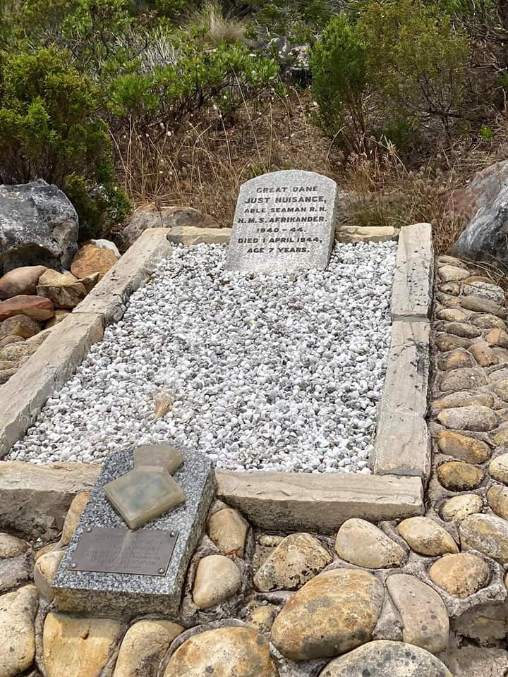 Just Nuisance Two - Cape Town Tourism