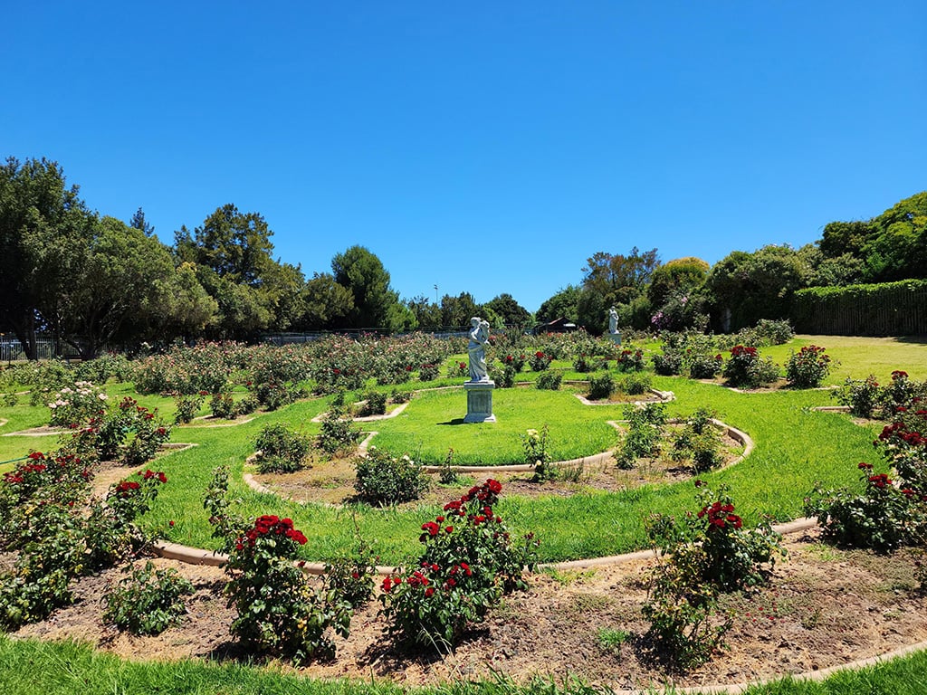 Durbanville-rose-garden - Cape Town Tourism