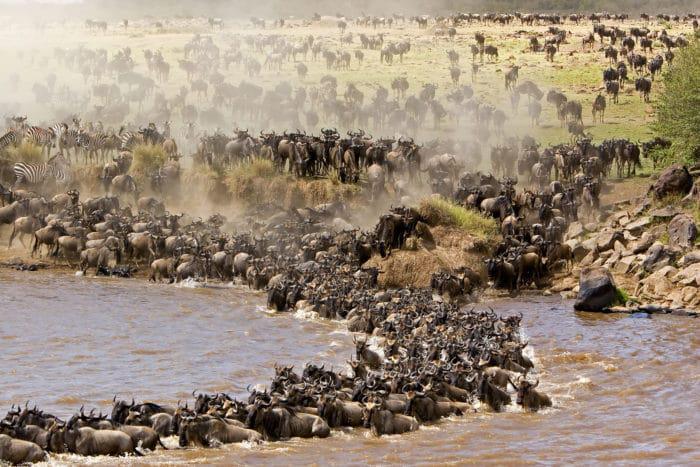 ¿Cuál es la diferencia entre Masai Mara y Serengeti?