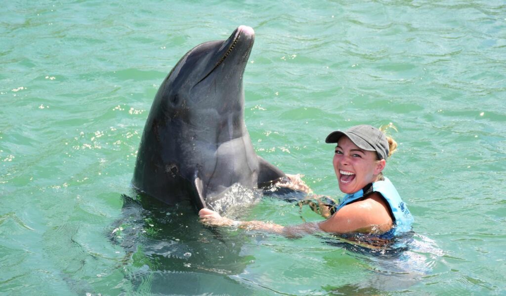 Vivez la magie : nagez avec les dauphins à Cancún avec Dolphin Connection Mexico