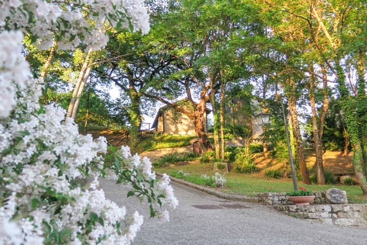 Villa Il Gufo Chaussée