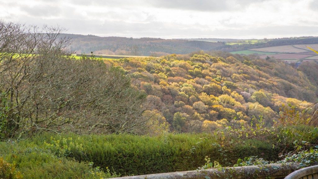 Vue du Devon depuis la terrasse